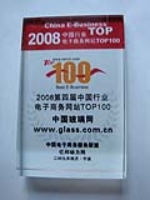 中国玻璃网获08年TOP100
