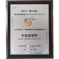 中国玻璃网荣获2010年度中国行业电子商务网站TOP100